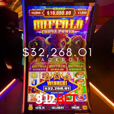 312Bet: A Experiência de Casino com Jogos de Mesa ao Vivo